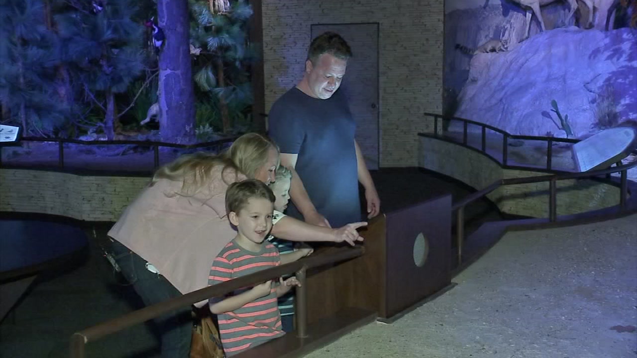 Team removes sensory triggers from Houston musuem